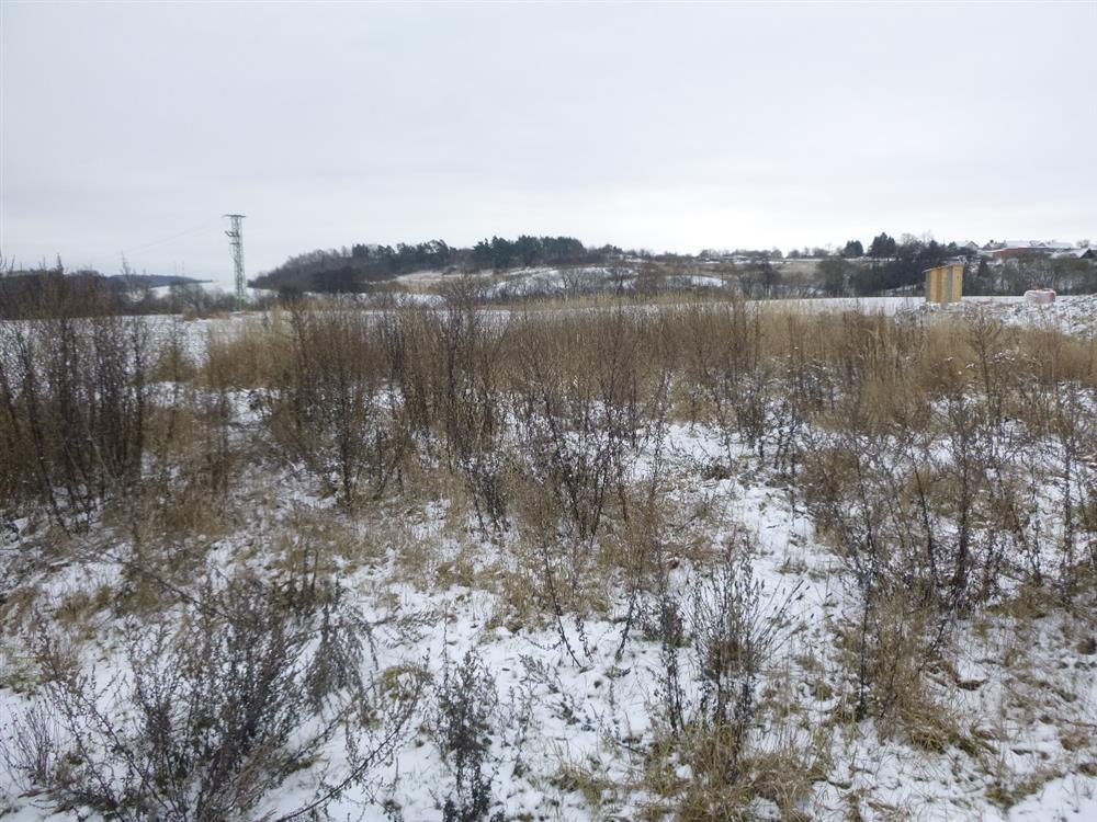 Stavební pozemek v Lešanech u Benešova