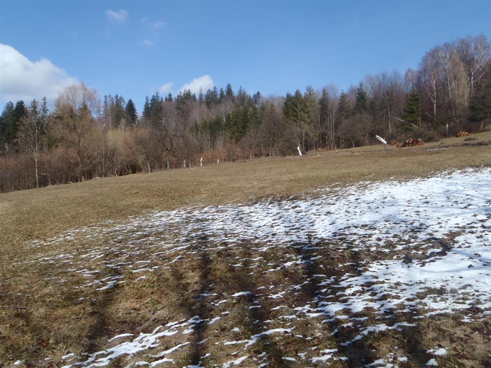 Podíl 1/4 na rodinném domě v Nýdku s pozemky